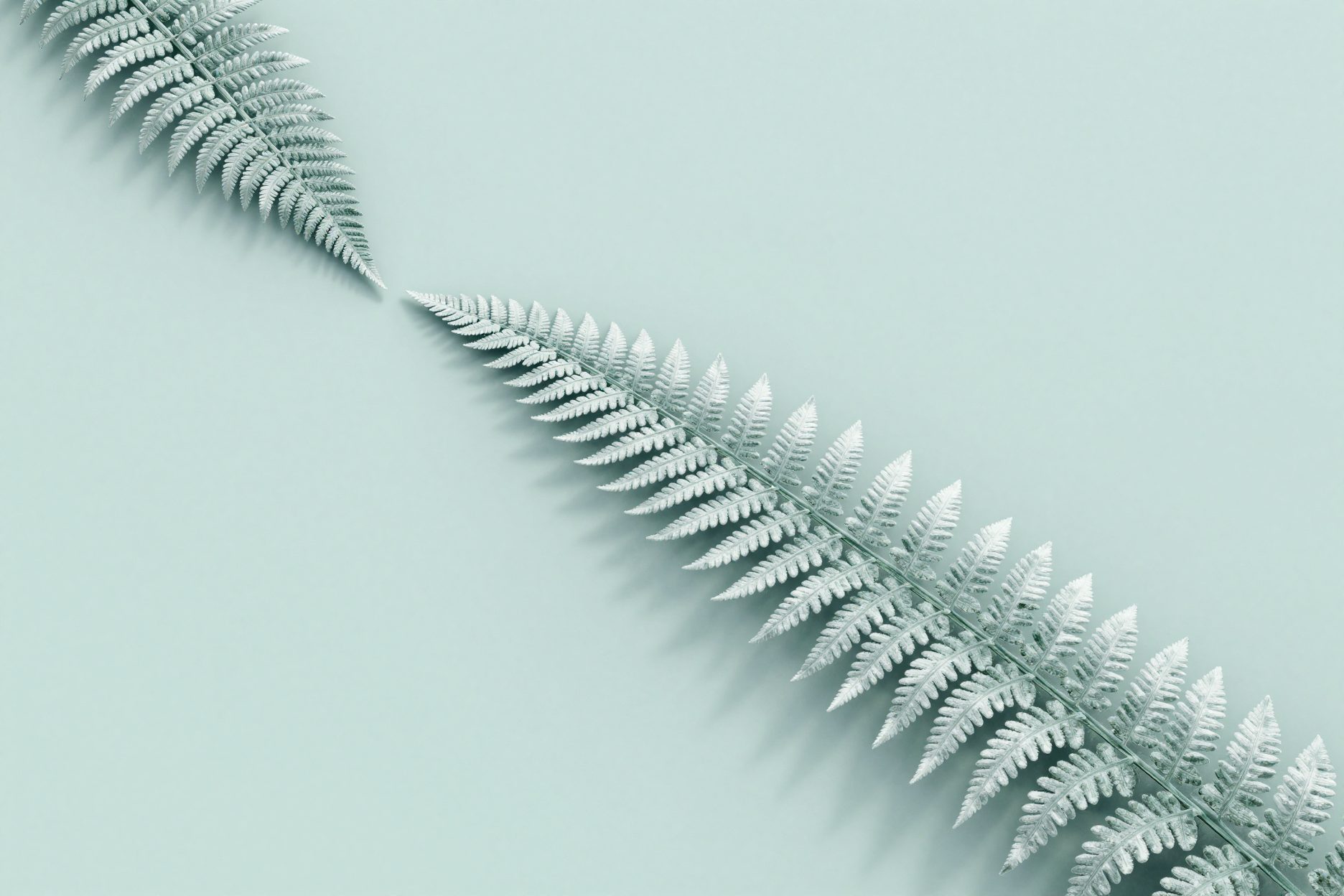 A curving path of glass fern leaves on mint.